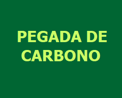 Pegada de Carbono